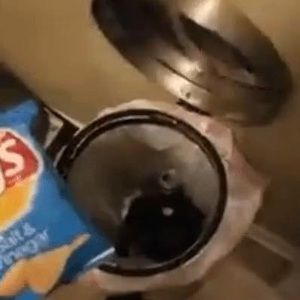 Meet your Posher, Matthew